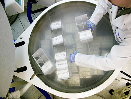 臺灣仲益減速機生產廠家